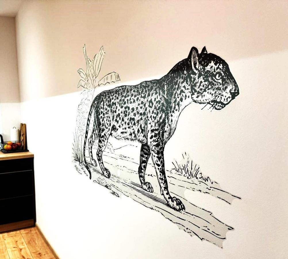 Tiger Krakau